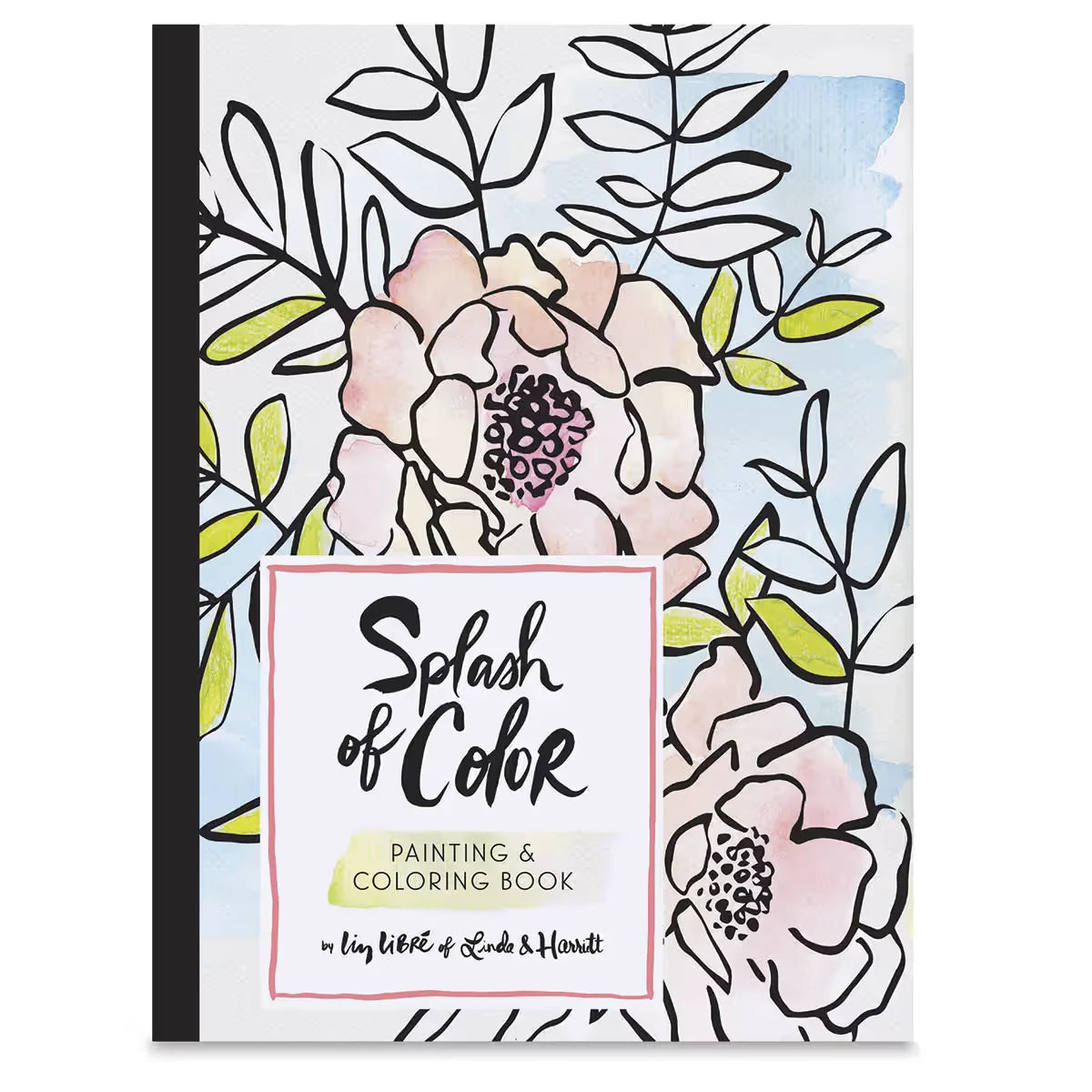 Splash of Color Painting & Coloring Book