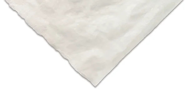 Sekishu Paper  24 x 39 Not Sized Single Sheet