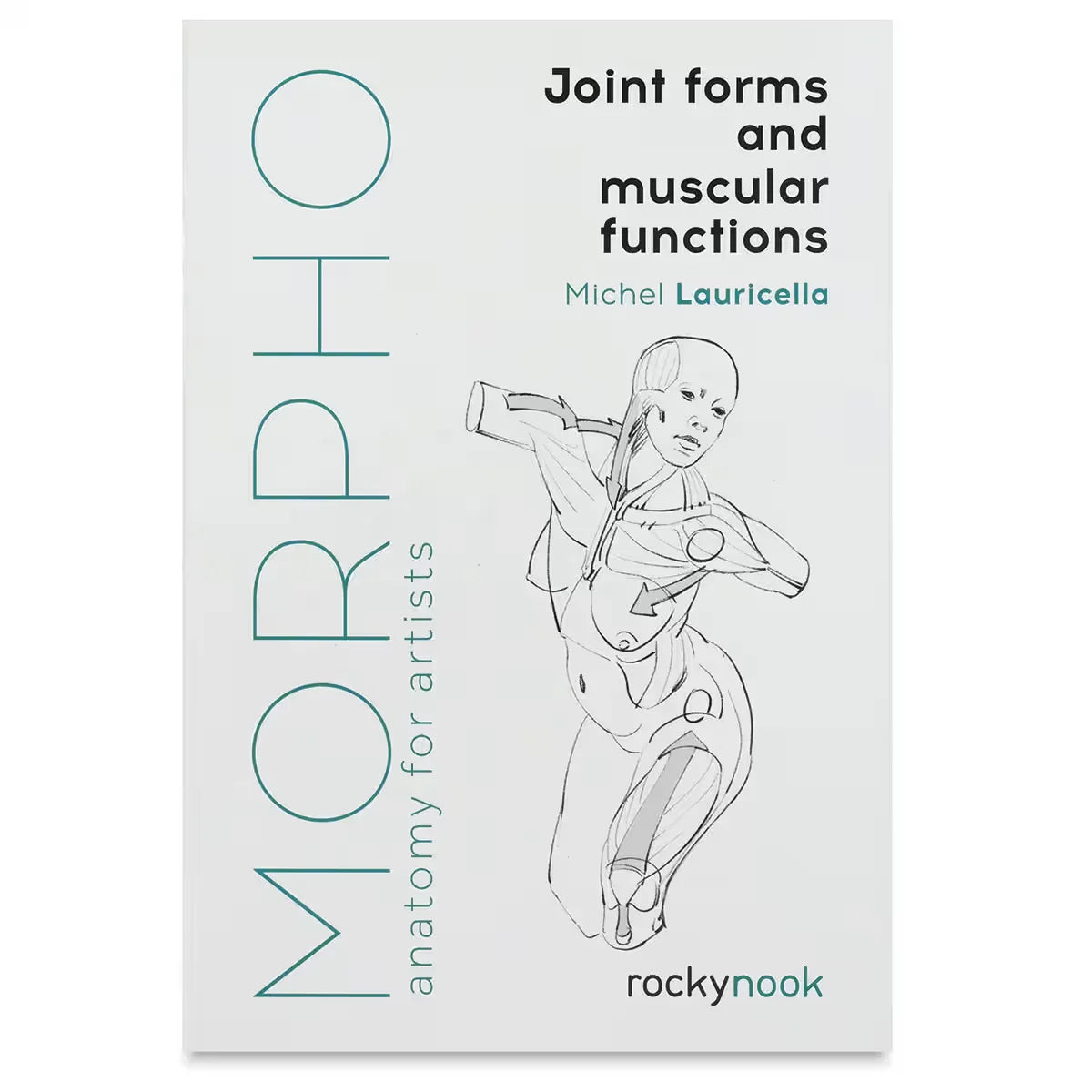 Anatomy for Artists Joint Forms and Muscular Functions