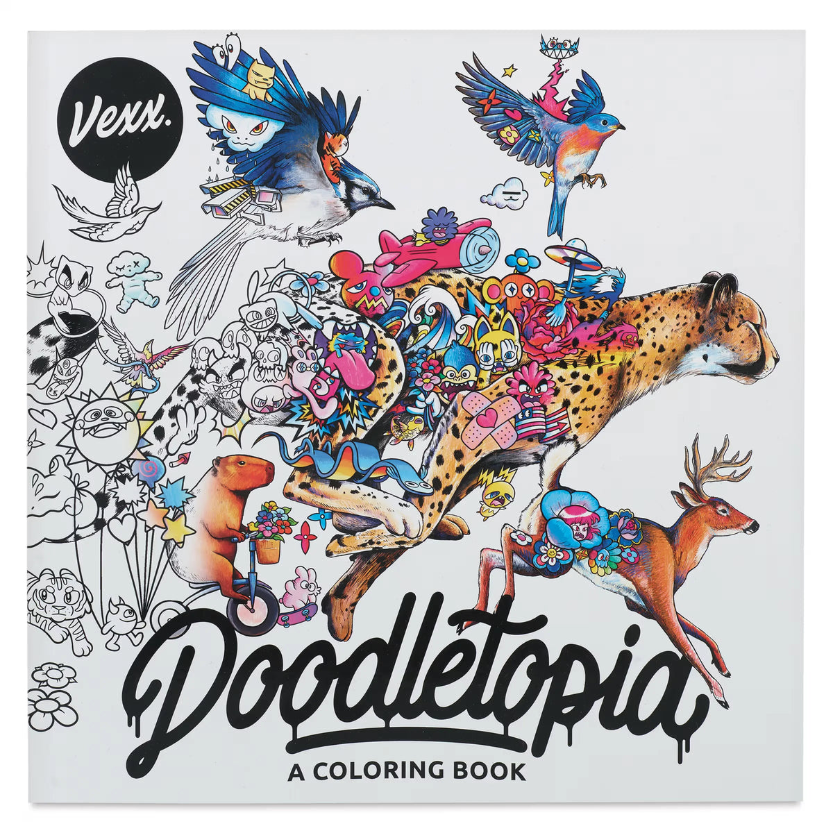 Doodletopia: A Coloring Book  10 x 10 96 Pages