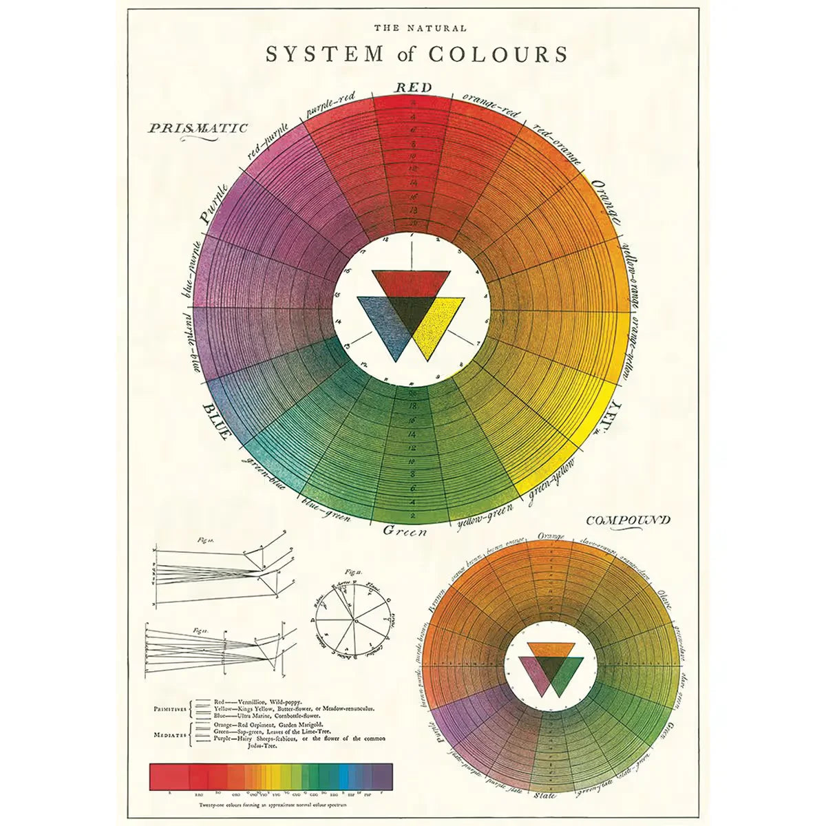 Cavallini Color Wheel Gift Wrap