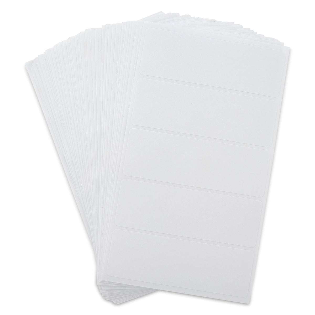 Charles Leonard SelfAdhesive All Purpose Removable Labels  Pkg of 120 4 x 2